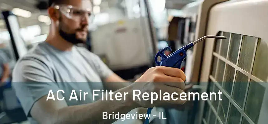  AC Air Filter Replacement Bridgeview - IL