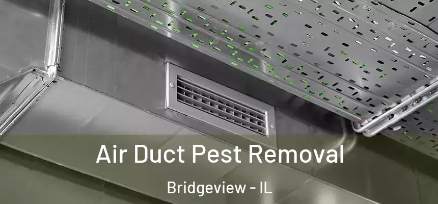  Air Duct Pest Removal Bridgeview - IL