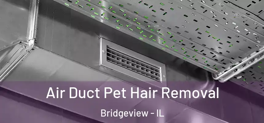 Air Duct Pet Hair Removal Bridgeview - IL