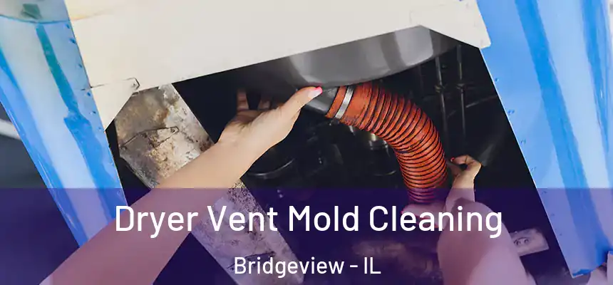Dryer Vent Mold Cleaning Bridgeview - IL