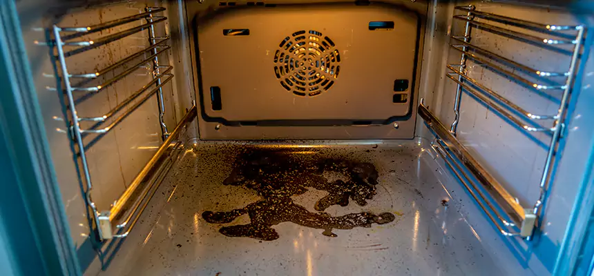 Our Dryer Vent Mold Cleaning Services in Bridgeview, IL