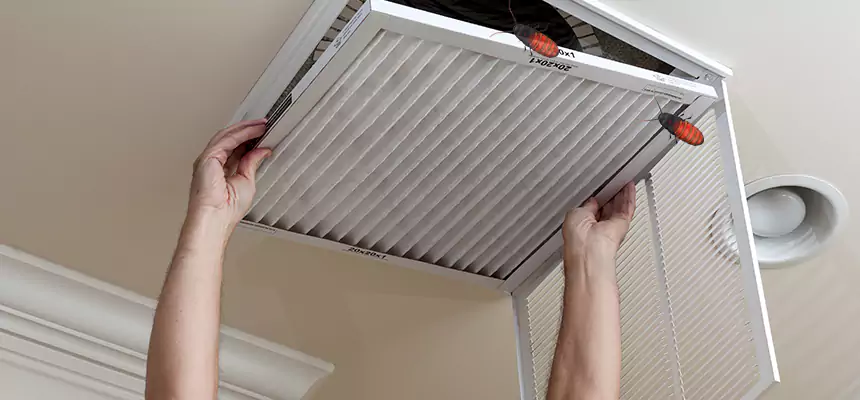 Our Insect Removal from Air Ducts Services in Bridgeview, IL