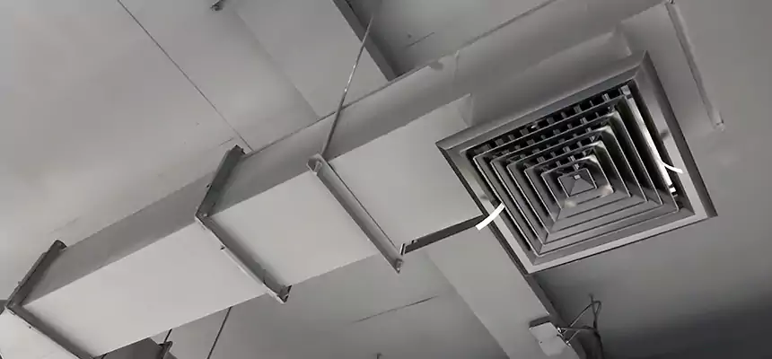 Our Rodent Droppings In Vents Services in Bridgeview, IL