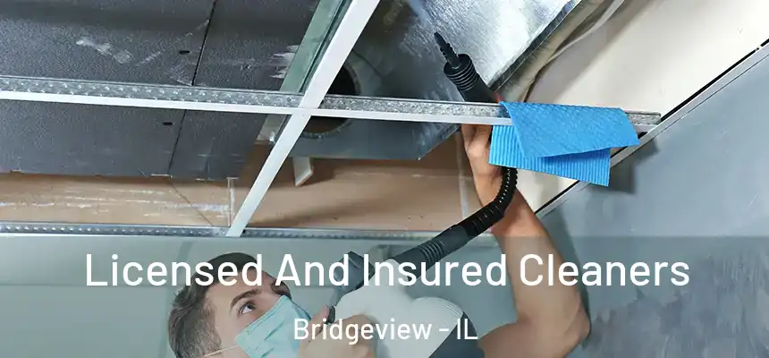 Licensed And Insured Cleaners Bridgeview - IL