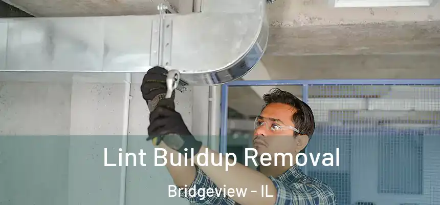  Lint Buildup Removal Bridgeview - IL