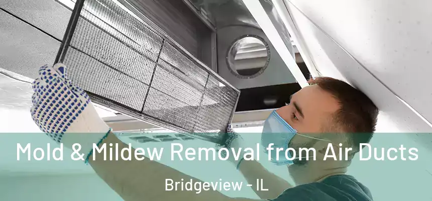 Mold & Mildew Removal from Air Ducts Bridgeview - IL