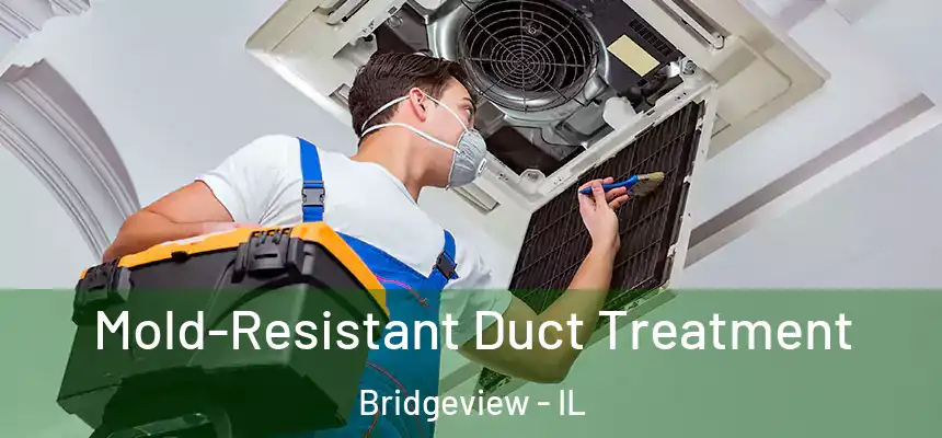 Mold-Resistant Duct Treatment Bridgeview - IL