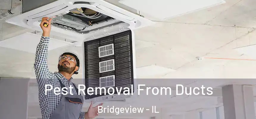  Pest Removal From Ducts Bridgeview - IL
