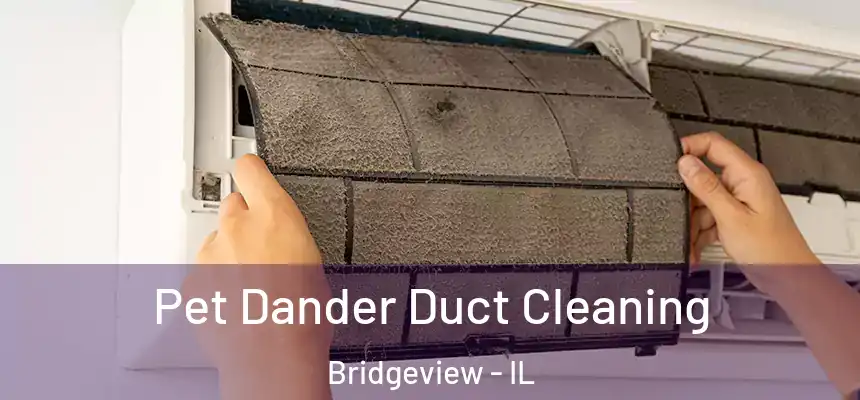  Pet Dander Duct Cleaning Bridgeview - IL