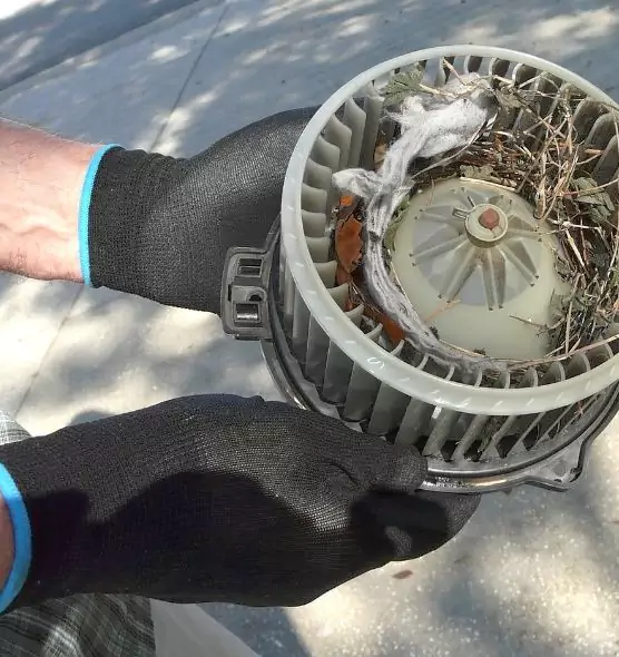 About Air Duct Mice Removal in Bridgeview, IL