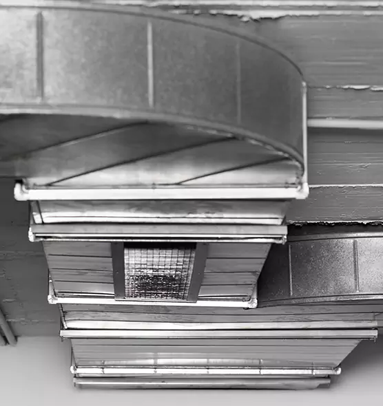 Professional Air Duct Pest Removal in Bridgeview, IL