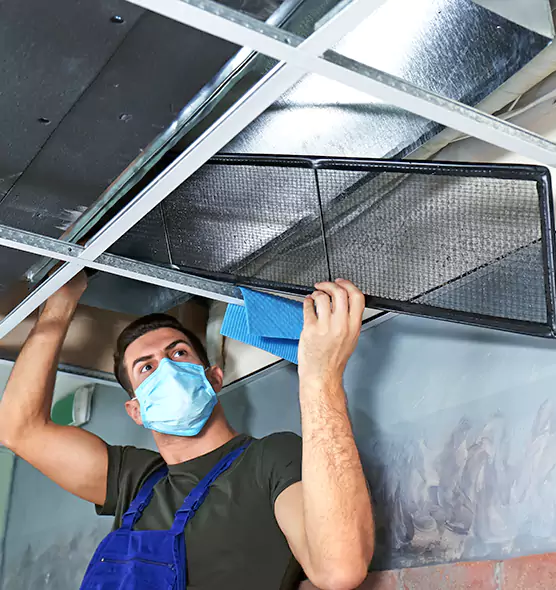 Professional Air Duct Pollen Cleaning in Bridgeview, IL