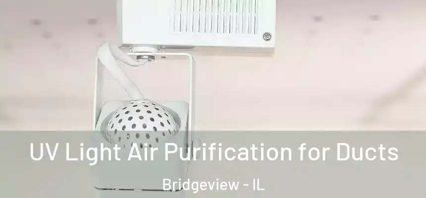  UV Light Air Purification for Ducts Bridgeview - IL